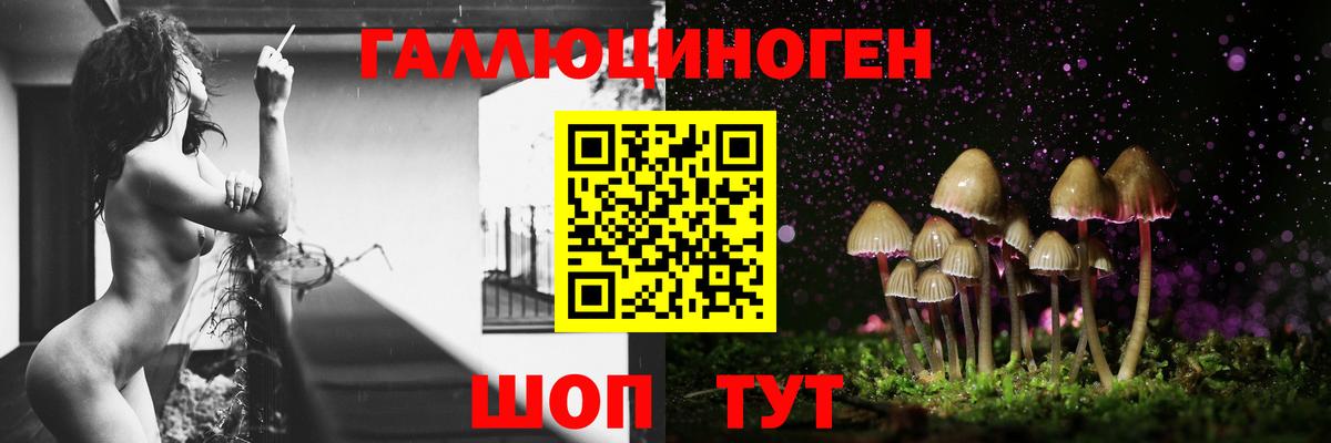Томск  Галлюциногенные грибы Psilocybe  как найти наркотики  Псилоцибиновые грибы Psilocybe  Вход с VPN 